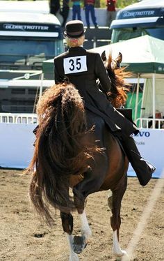 a person riding on the back of a brown horse in an arena with other people watching