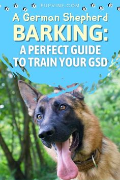 a german shepherd barking in front of trees with the text, a german shepherd barking a perfect guide to train your dog