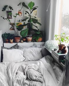 a bedroom with plants on the windowsill and bed in it's centerpiece