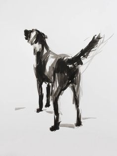 a black and white drawing of a dog on a white background with watercolors