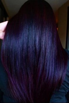 Plum Black Midnight Violet Black Hair, Dark Blue And Purple Hair, Blue Violet Hair, Violet Black Hair, Hair Color Mahogany, Mahogany Hair