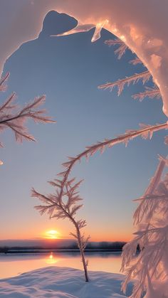 the sun is setting behind some frosty trees in the foreground, with water and ice on the ground