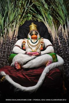 an image of a man sitting in the middle of some palm trees with a mask on his face