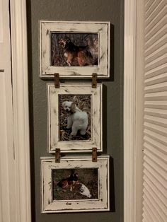 three framed pictures hang on the wall