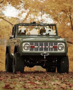 an old green truck parked in front of some trees with fall leaves on the ground