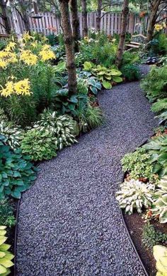 a garden with lots of plants and trees