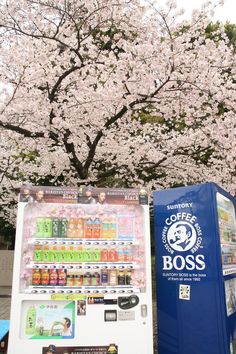 a vending machine next to a cherry blossom tree