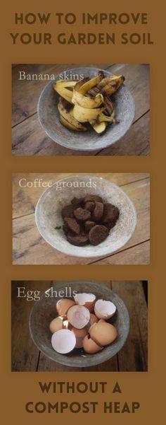 an image of how to improve your garden soil with coffee grounds and composts