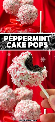 Learn how to make these easy Christmas Cake Pops - Peppermint Cake Pops made with fudge brownie mix, candy canes, white chocolate metling wafers and peppermint extract. The ultimate peppermint desserts recipe! Peppermint Bark Cake, Peppermint Cake Pops, Peppermint Brownie Cake Pops, Cake Pops Brownie, Christmas Cake Pops Recipe, Bark Cake, Cake Pop Flavors, Brownie Cake Pops, Holiday Cake Pop