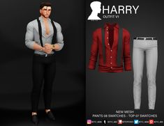 an image of harry outfit for the new mesh pants