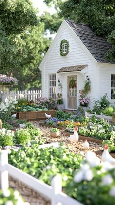 Backyard Homestead Aesthetic, Hobby Farm Garden, Vision Board Farm Life, Small Home Farm, Home Farm Garden, Country Farmhouse Backyard, Farm Garden Aesthetic, Homestead Asethic, Homestead Living Aesthetic