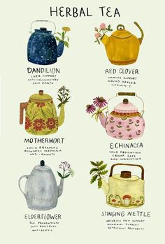 a poster with different types of teapots on it's sides and names