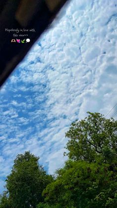 an airplane flying high up in the sky above trees and clouds, seen through a car window