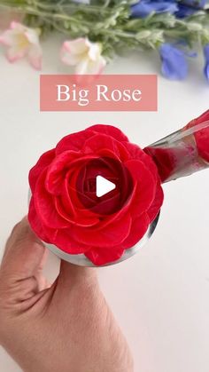 a person holding a red rose in their hand with the words, big rose on it