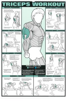 a poster with instructions on how to do an upper body workout