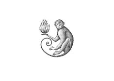 a monkey sitting on top of a fire