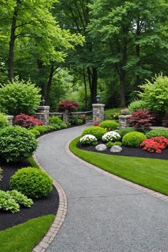 a winding driveway surrounded by lush green trees