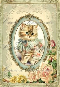 a cat in a dress with flowers on it's chest and an oval frame