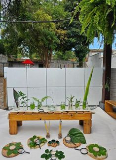 a table with plants and scissors on it