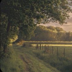 the sun is setting on an open field with trees and a path leading to it