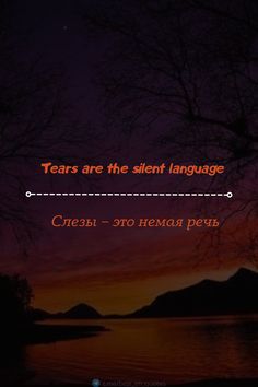 the words tears are the silent language in front of a night sky with trees and mountains