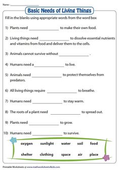 worksheet for the basic needs of living things, including plants and animals to help students