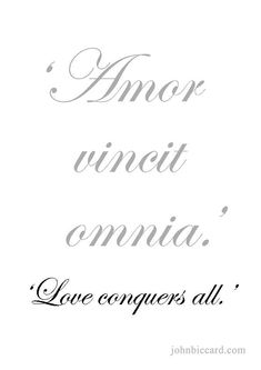 the words love conquers all written in french