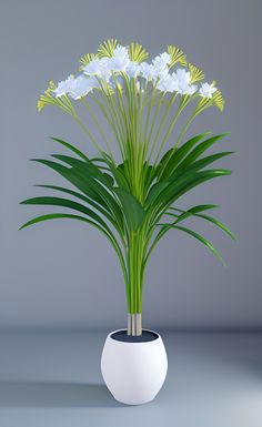 there is a plant with white flowers in the pot on the table and gray background