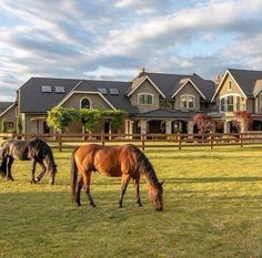 two horses graze in front of a large house