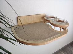 a wooden shelf with two bowls on it and a plant in the corner next to it