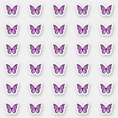 many purple butterflies are shown on a white background