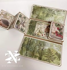 four coasters with pictures of animals and plants on them