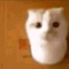 an owl's face is shown in this blurry photo