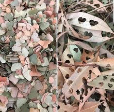 two pictures of leaves with holes in them and one is filled with small heart shapes