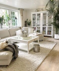 a living room filled with furniture and a cat laying on top of the couches