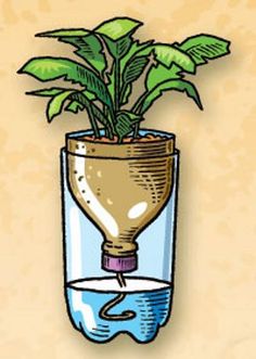 a drawing of a plant in a glass vase with water on the bottom and green leaves growing out of it