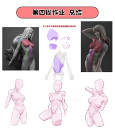 an image of some female body shapes