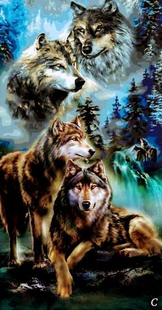 three wolfs are standing in front of the moon and trees, one is staring at another