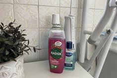 two bottles of hand sanitizers sitting on a counter next to a potted plant