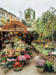 an outdoor market with lots of flowers and plants