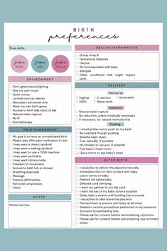 a pink and blue resume template with the words,'birth experience'on it