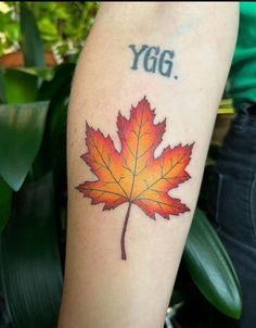 Red Shade Maple Leaf With YGG Maple Leaf Tattoo Designs Chicago Tattoo, Herb Garden Design, Nature Tattoos, American Traditional