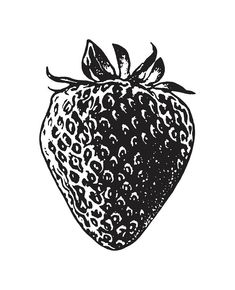 a black and white drawing of a strawberry