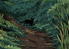 a black cat is walking down a path in the woods