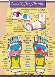 Reflexology Foot Chart, Foot Reflexology Massage, Reflexology Chart, Reflexology Massage, Foot Reflexology, Healing Touch, Menstrual Cramps, Pressure Points, Reflexology