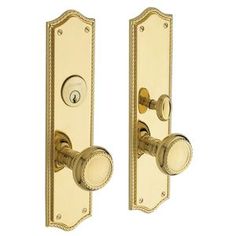 two golden door handles with knobs on each side