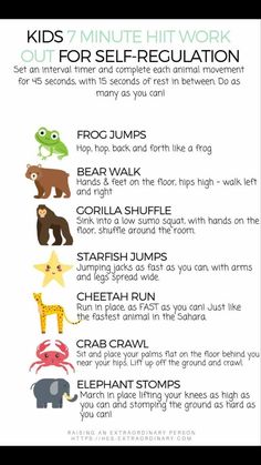 an info sheet describing the different types of animals and their names for each child's body