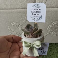 a hand holding a small potted plant with a tag on it's side