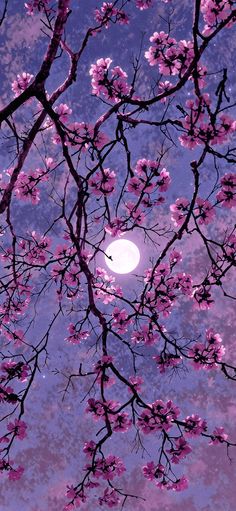 the full moon is shining brightly in the sky above some pink flowers on a tree branch