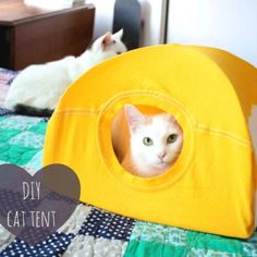 two cats laying on top of a bed with a yellow cat house in the middle